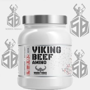 امینو وایکینگ  Viking Force